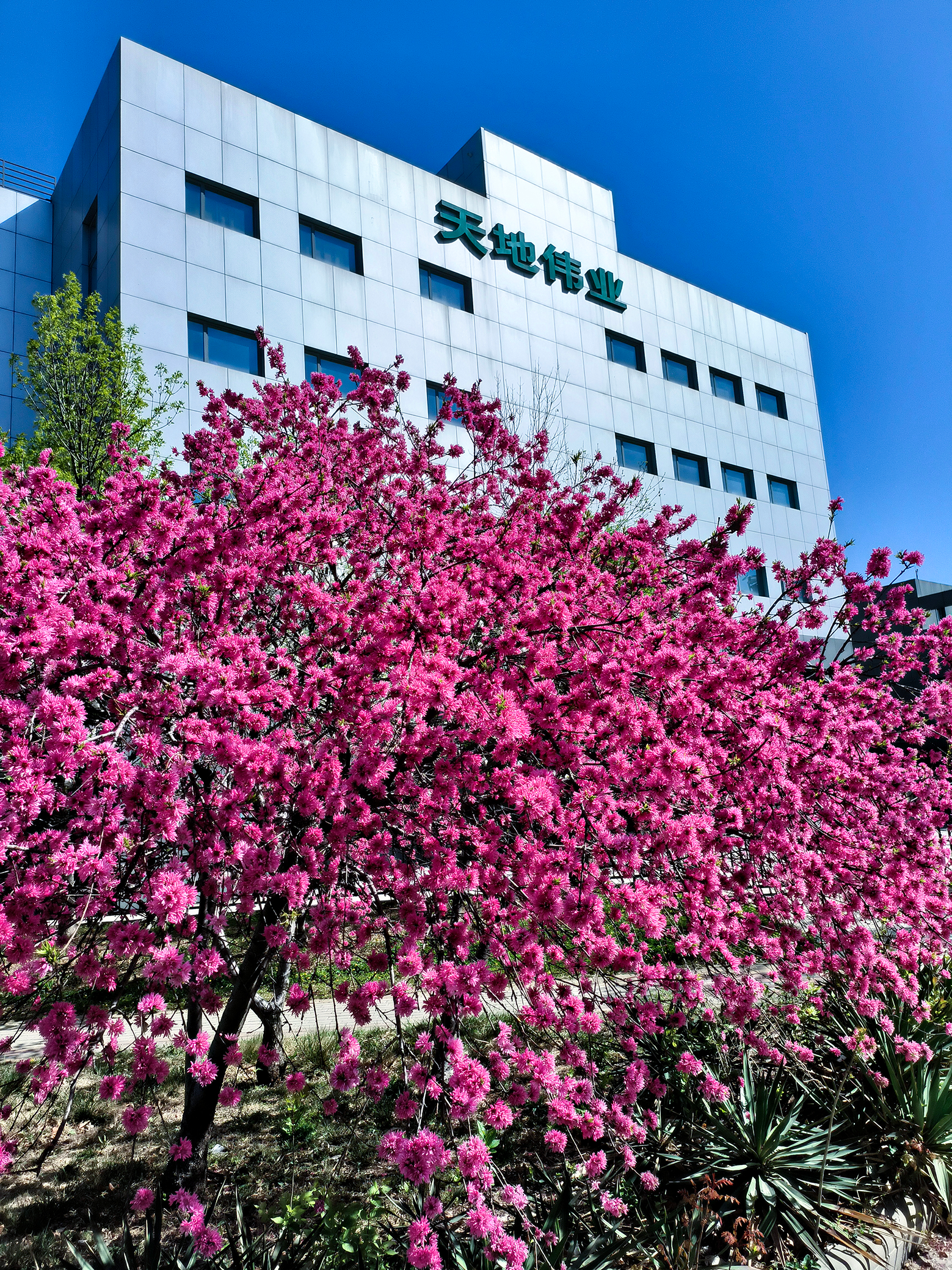 首页- 尊龙集团中国官方网站