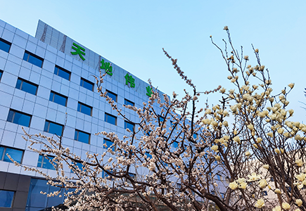 首页- 尊龙集团中国官方网站