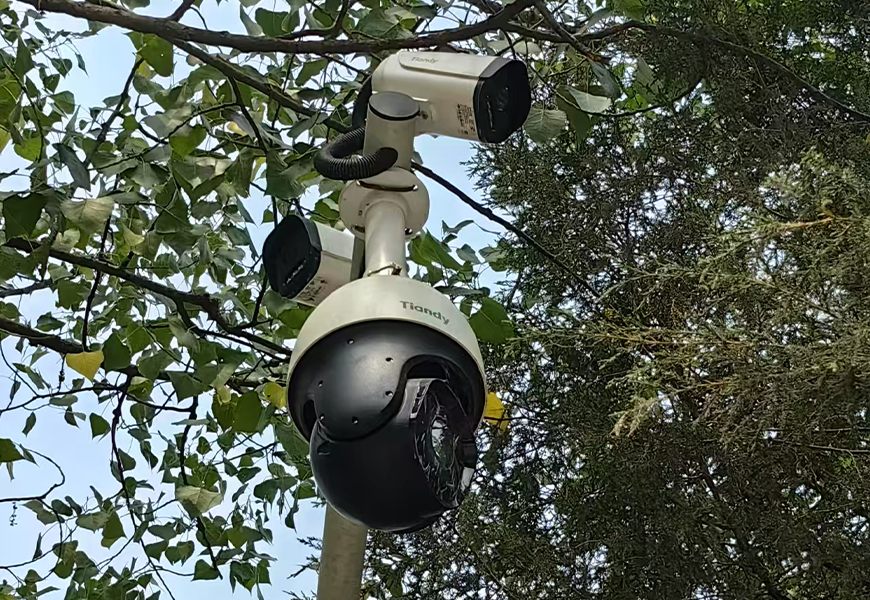 首页- 尊龙集团中国官方网站