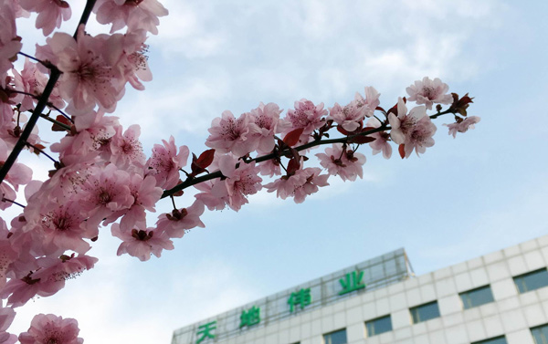 首页- 尊龙集团中国官方网站