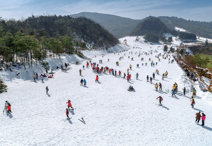首页- 尊龙集团中国官方网站